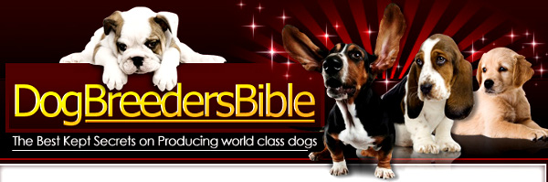 Dog Breeder's Bible for Blue Pitbulls